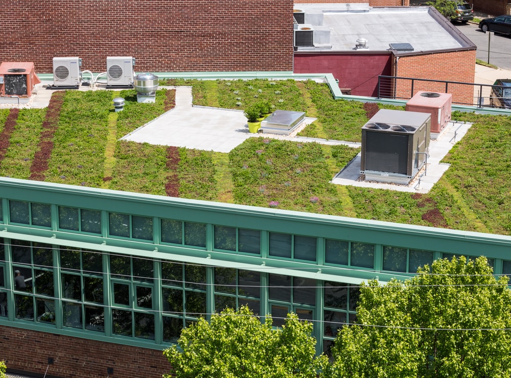 EU RESEARCH PROJECT “GREEN ROOF SYSTEMS” (IAPP)